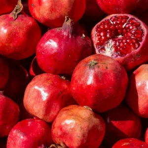 Pomegranate Fruit Tree - 7-12 Inches - Ready to Grow