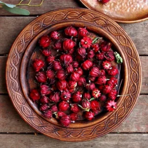 Red Roselle Hibiscus Plant 8-12 Inches - Edible Hibiscus - Garden Ready