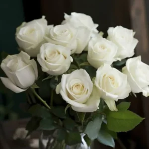 White Mini Rose Plant - 3-5 Inch - Elegant Indoor/Outdoor Flower