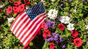 patriotic flowers, patriotic plants