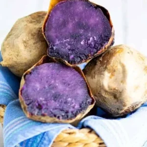 Okinawa Sweet Potato Slips - 10 Sweet Potato Cuttings for Planting