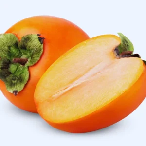 Persimmon Tree Live Plant - 2 to 3 Ft Tall - Fruit Tree - No CA Shipping