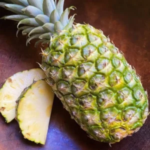 Pineapple Plant - Tropical Fruit Plant - 5-8 Inch Indoor Plant