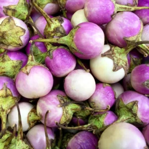 Purple Eggplant Seeds - 100 Count - Vegetable Seeds