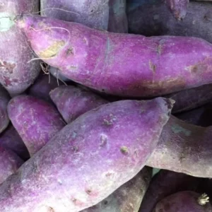 Purple Sweet Potato Slips - 10 Sweet Potato Cuttings for Planting