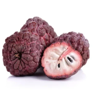 Red Sugar Apple Tree 3 Gallon Grafted Tree 2-3 Ft Fruit Tree