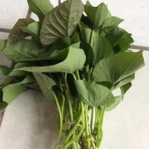 Red Sweet Potato Slips, Sweet Potato Cuttings - 10 Count - Vegetable Starts