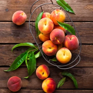 Sweet Peach Tree Live Plant - 3 Gallon Fruit Tree 2-3 Ft Tall