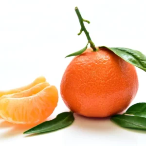 Sweet Tangerine Citrus Fruit Seeds - Grow Delicious Tangerines