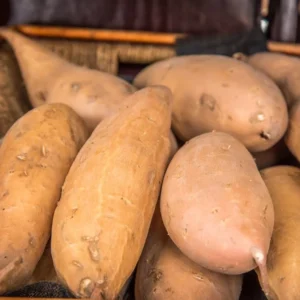 White Sweet Potato Slips - 10 Sweet Potato Cuttings for Planting