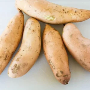 White Sweet Potato Slips - 10 Sweet Potato Cuttings for Planting