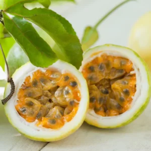 Yellow Passion Fruit Vine Plant - 5 to 8 Inch Tall - Tropical Fruit Vine
