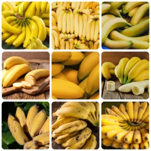 Banana Plant Live Potted 4-6 Inch Cold Hardy Fruit Tree