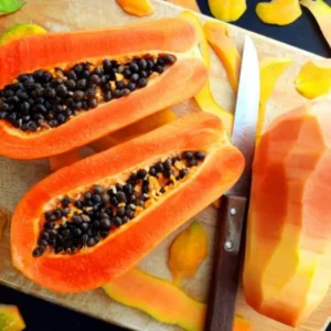 Dwarf Papaya Tree Live Plant 10-14 Inch Potted Fruit Tree