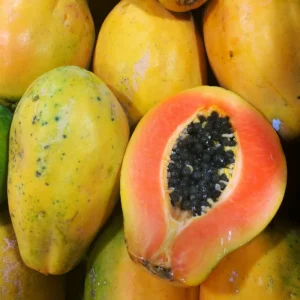 Dwarf Papaya Tree Live Plant - 8-12 Inch Starter Plant - Half Gallon Pot