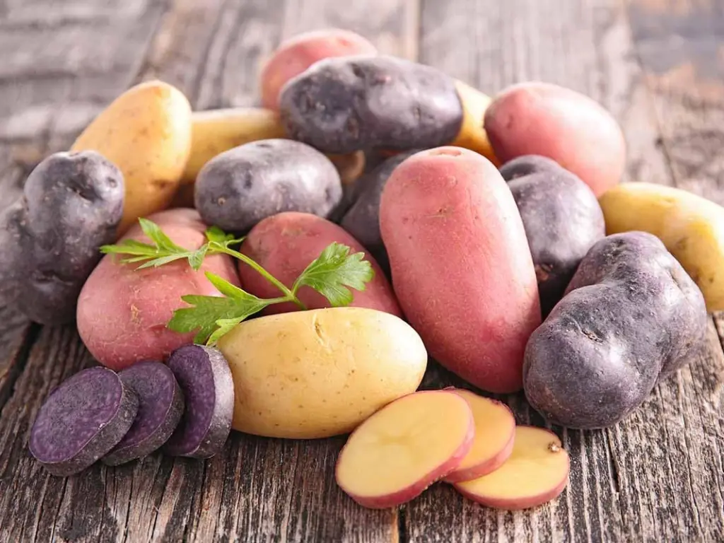 Heirloom Potato varieties