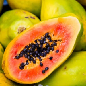 Papaya Plant Live 5-10 Inch - Tropical Fruit Tree for Containers