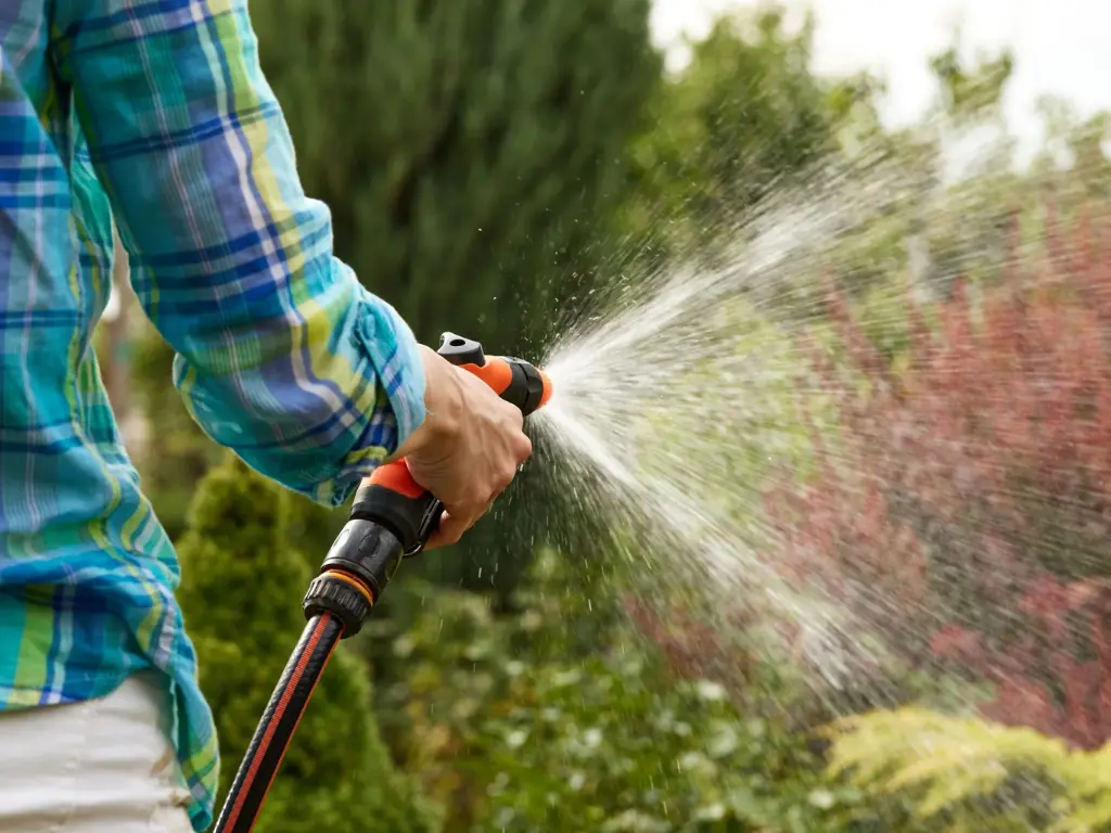 water your new lawn regularly