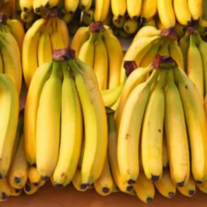 Banana Tree Live Plant - Tropical Fruit Tree - Easy to Grow