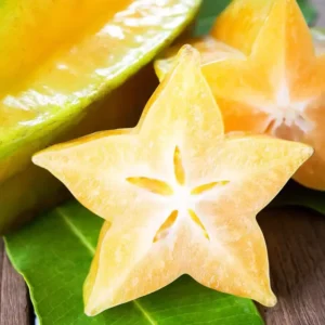 Carambola Starfruit Tree 24-36 Inch Live Fruit Plant - Ready to Grow