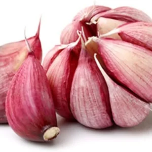 Hardneck Garlic Bulbs for Planting - 1 Lb - Home Garden Ready