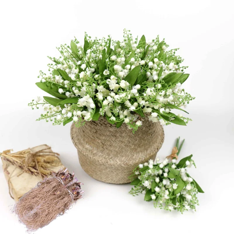 Lily of The Valley Flower Rhizomes - 5 Live Plant Roots for Early Bloom - Fragrant May Lilies