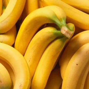 Live Banana Plant - Potted Banana Tree - Grow Your Own Fruit