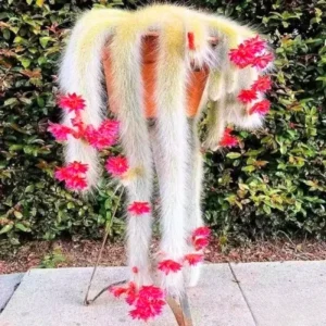 Monkey Tail Cactus Live Succulent - 5-7 Inch Hanging Trailing Plant Bareroot