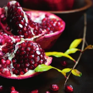 Pomegranate Tree Live Plant - 24-36 Inch Pomegranate Bush - Ready to Grow