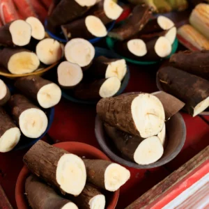 Yuca Cassava Plants Live Cuttings - Sweet Manihot Root, Fast Growing