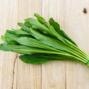 Culantro Plant Live - 4 Pack Herb Plant - Garden Ready - 4-6 Inches