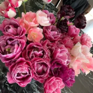 Double Tulip Bulbs 15 Mix - Fall Planting Spring Blooming Flower Bulbs