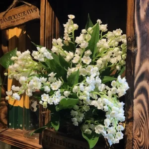 Lily of The Valley Bareroot Flower Plant Bare Roots for Gardening