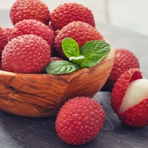 Lychee Seedling 4-6 Inch Rare Tropical Fruit Tree Sapling