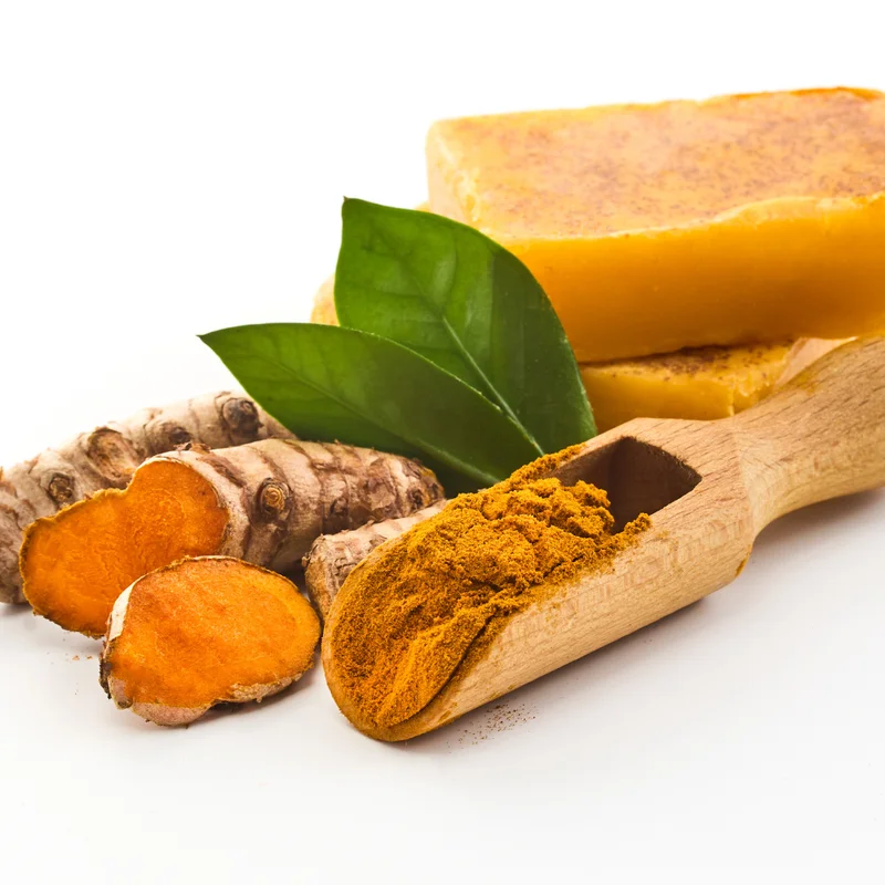 Turmeric Plant Live - Curcuma Rhizome for Planting Indoor Outdoor - 4-6 Inches Tall