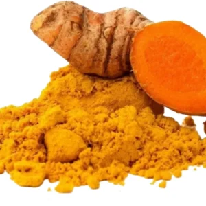 Turmeric Plant Live - Curcuma Rhizome for Planting Indoor Outdoor - 4-6 Inches Tall