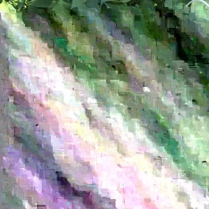 10 Okinawa Purple Sweet Potato Slips - Organic Plant Cuttings - Khoai Lang - Image 2