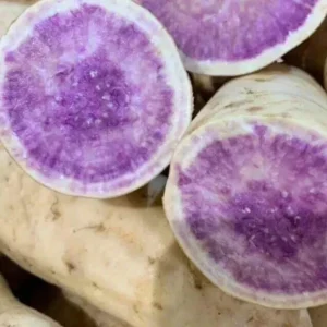 10 Okinawa Purple Sweet Potato Slips - Organic Plant Cuttings - Khoai Lang - Image 9