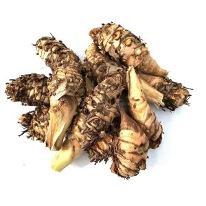 10 Orange Turmeric Mother Rhizomes- Florida Fresh! Curcuma longa from Green Ashes Farm, 100% Organic - Image 1