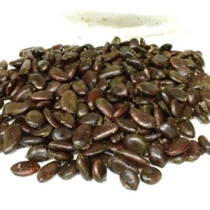 10 Pawpaw Tree Seeds - Organic Asimina triloba Native Fruit Seeds - Image 6
