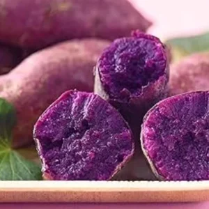 10 Purple Molokai Sweet Potato Slips - Well Rooted Live Plant Cuttings - Image 3