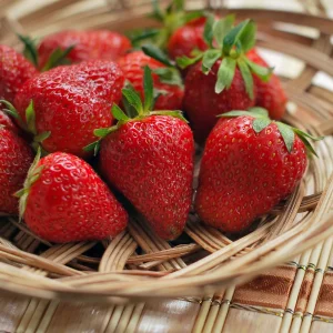 10 Quinault Everbearing Strawberry Plants - Bare Root Live Plants, Zones 4-8 - Image 1