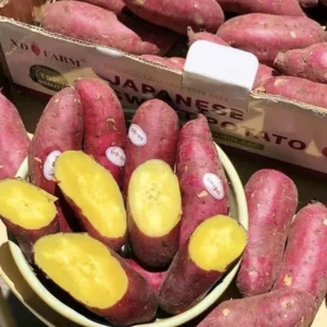 10 Red Japanese Sweet Potato Cuttings - Organic, Ready to Plant Slips - Image 8