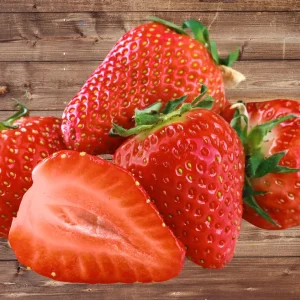 10 Sweet Charlie Strawberry Plants – June Bearing Bare Root Strawberries - Image 1