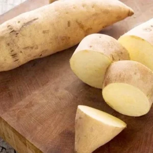 10 White Sweet Potato Slips - Well-Rooted Live Plant Cuttings for Garden - Image 2