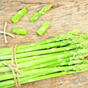150+ Asparagus Seeds - Perennial Heirloom Vegetable Seeds - Non-GMO Outdoor Garden - Image 2