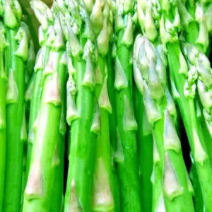 150+ Asparagus Seeds - Perennial Heirloom Vegetable Seeds - Non-GMO Outdoor Garden - Image 4