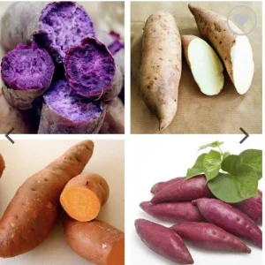 20 Sweet Potato Slips Variety Pack - Beauregard, White, Purple, Red Japan for Planting - Image 1