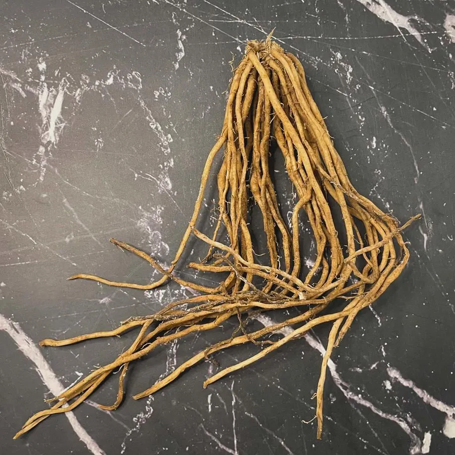 20 Viking KB3 Asparagus Bare Roots - Hardy Heirloom Vegetable Plant - Image 7