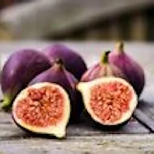 3 Black Mission Fig Tree Live Starter Plants - Fruit Bearing & Shade - Image 5